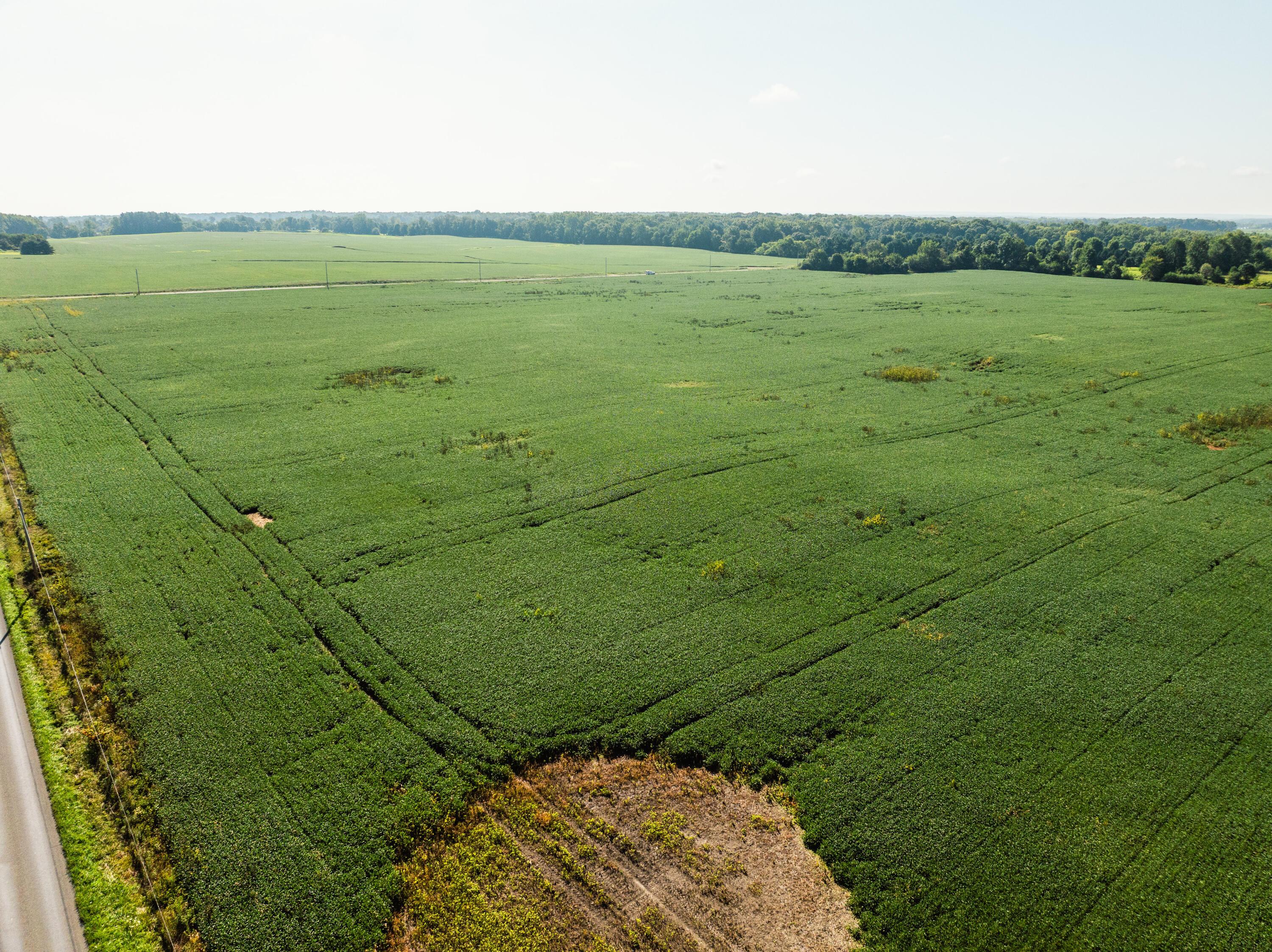 0 Sycamore Road Centerburg, OH 43011 - Photo 11 of 69 DJI_20260827152019_0780_D