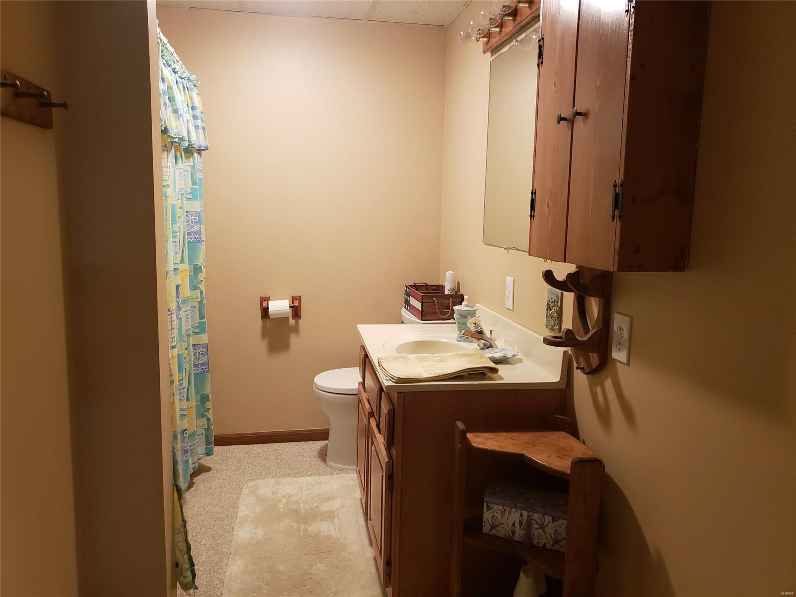 350 George Bluff Loop Belknap, IL 62908 - Photo 23 of 34 Gallery Image 23