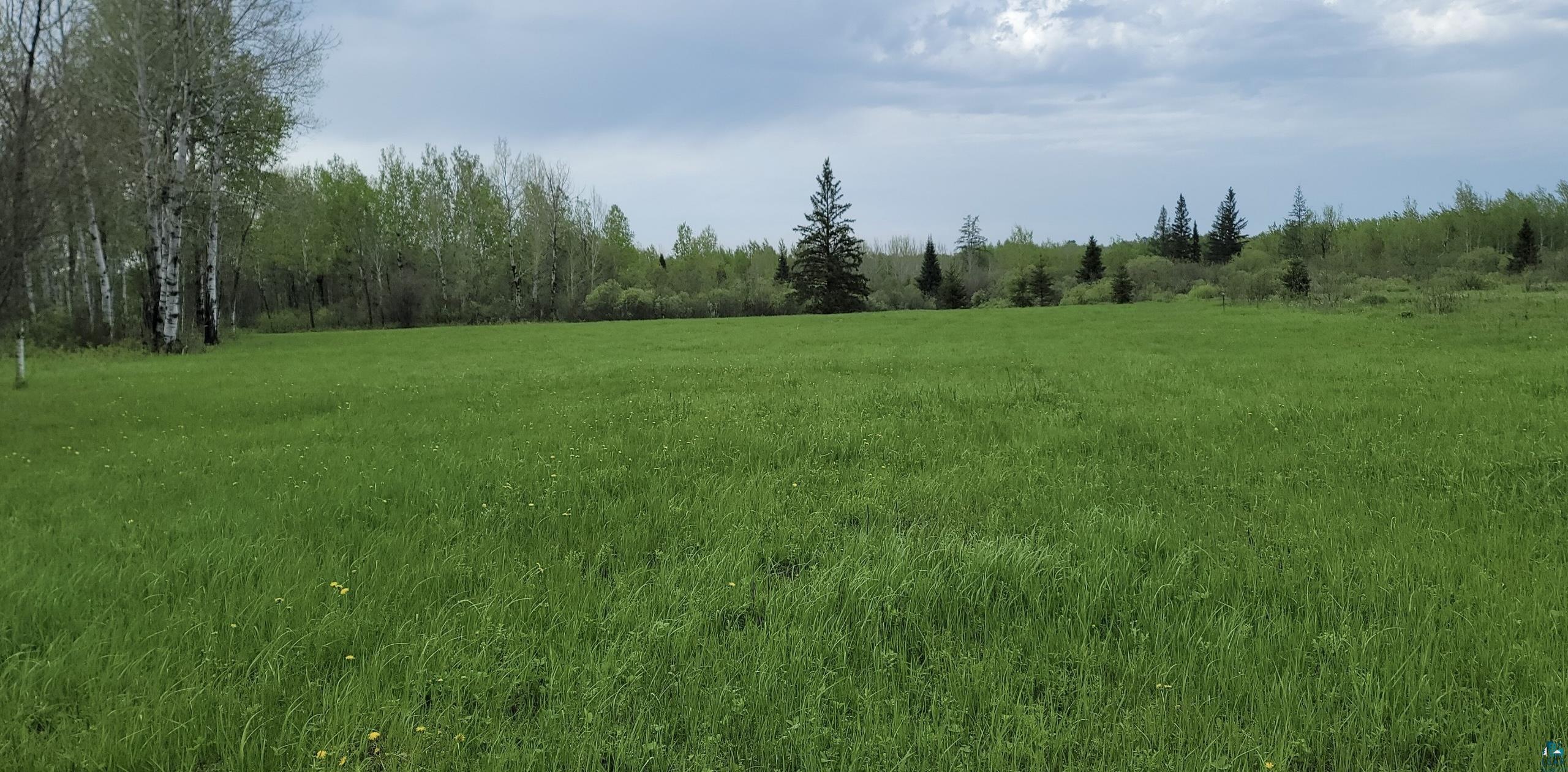 Tbd Samuelson Road Angora, MN 55703 - Photo 17 of 43 View of nature with a rural view