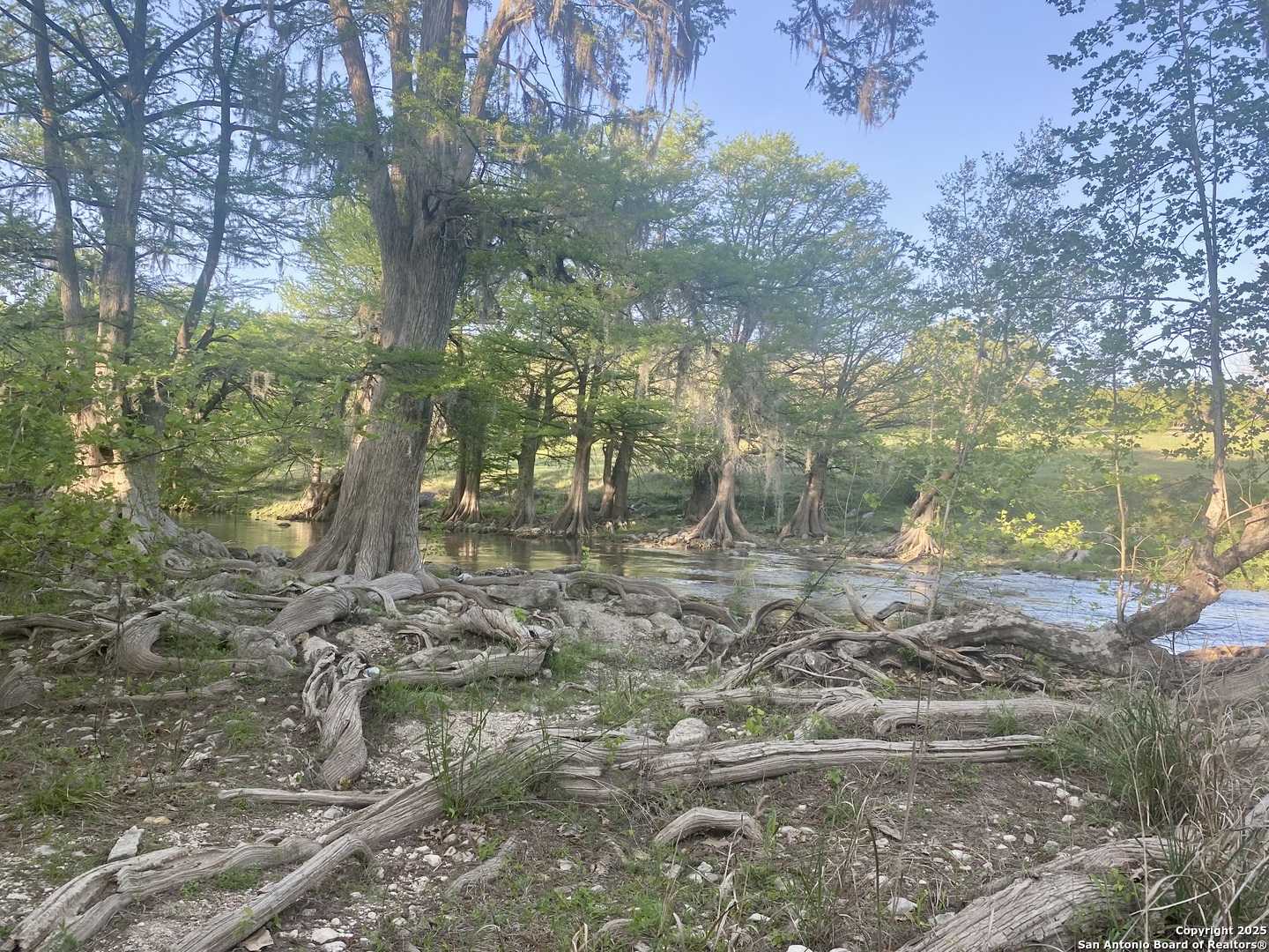 1160 Whispering Water Spring Branch, TX 78070 - Photo 10 of 19