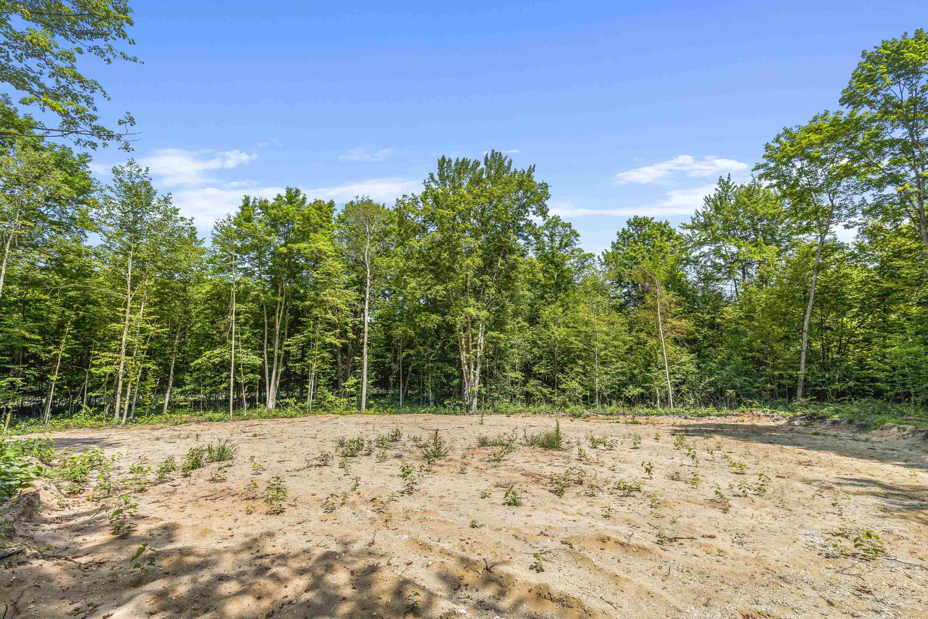 1233 South Zimmerman Road Beulah, MI 49617 - Photo 9 of 12 Gallery Image 9