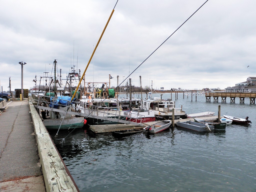 40 Allen Place, Unit 40 Scituate, MA 02066 - Photo 20 of 23 a view of a lake with cars parked