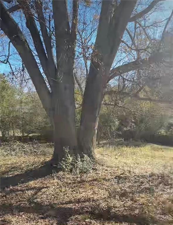 106 Melody Lane Northwest Rome, GA 30165 - Photo 12 of 21 a view of a yard with a tree
