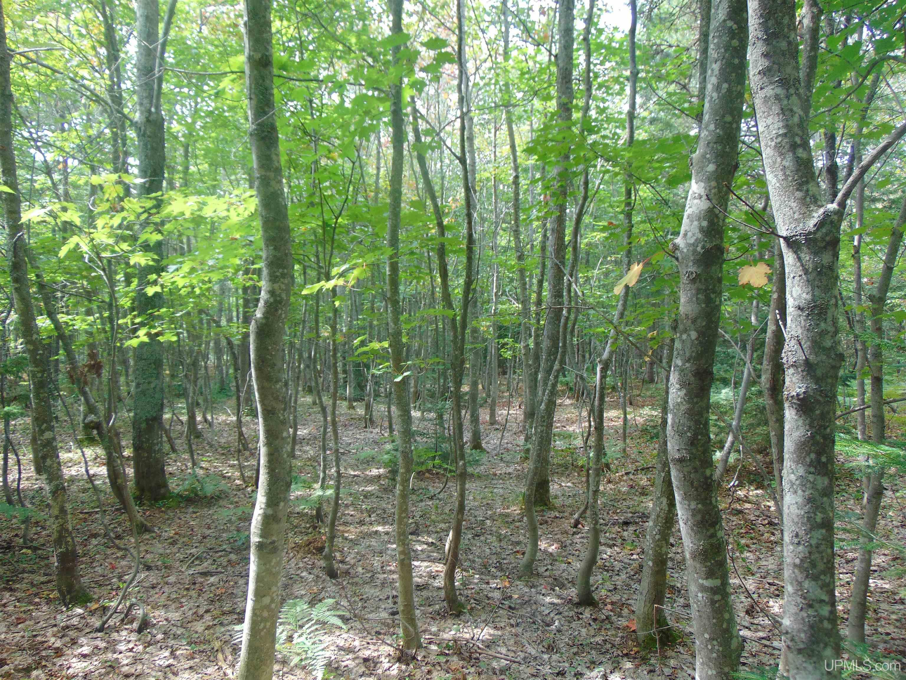 15 Coles Creek Road Atlantic Mine, MI 49905 - Photo 6 of 31