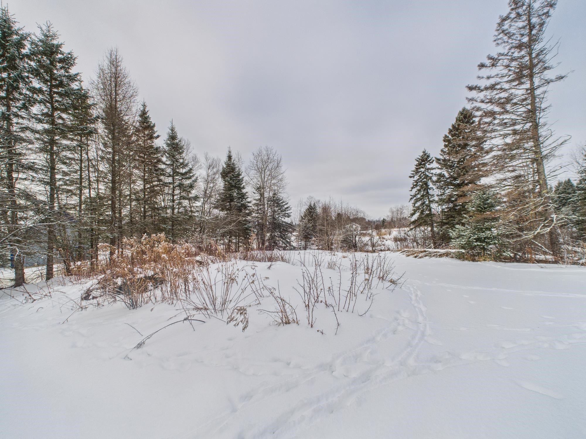 421 East Colebrook Road Colebrook, NH 03576 - Photo 35 of 35
