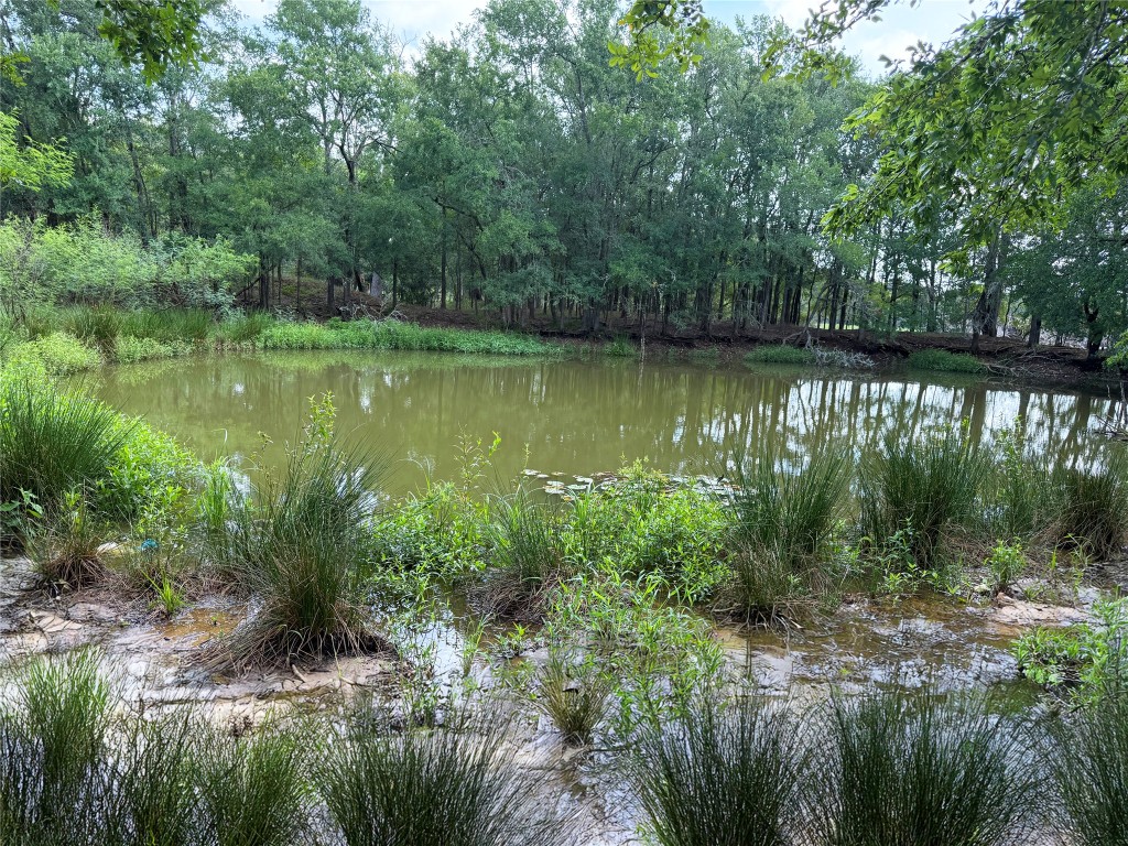 141 Grassyville Road Paige, TX 78659 - Photo 29 of 30 a view of a lake view with a garden