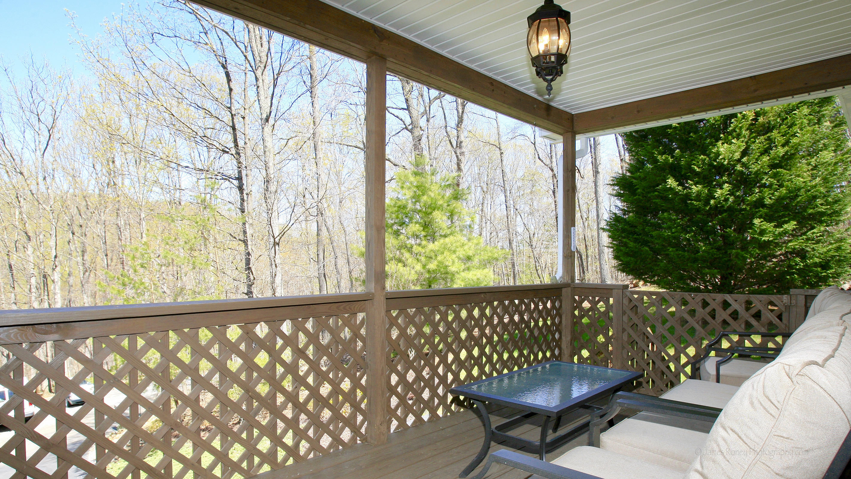 248 Silver Shadow Road Hardy, VA 24101 - Photo 8 of 50 a outdoor living space with furniture and a potted plant