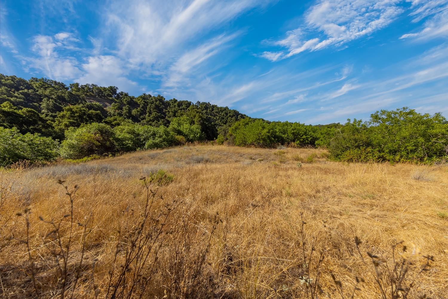 0 Sulphur Mountain Road Ojai, CA 93023 - Photo 17 of 22