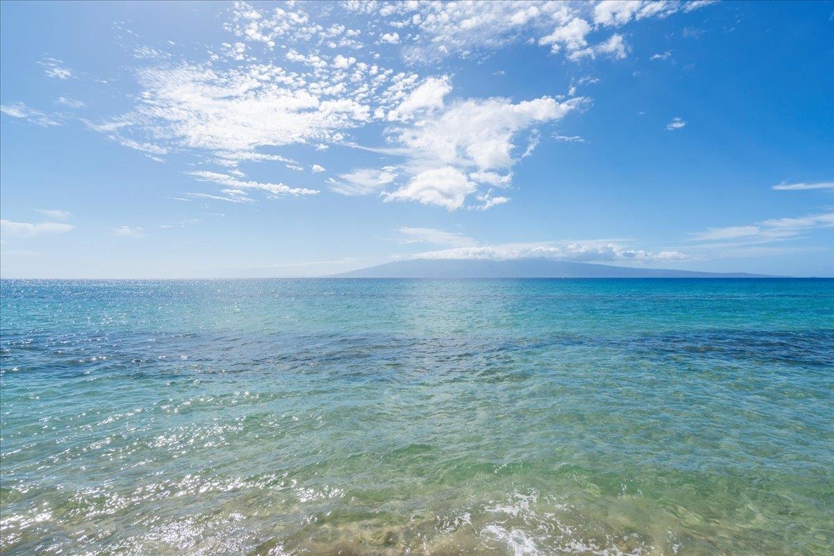 3559 Lower Honoapiilani Road, Unit 2A Lahaina, HI 96761 - Photo 30 of 32