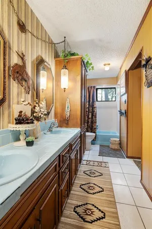 a bathroom with a sink a mirror and a shower