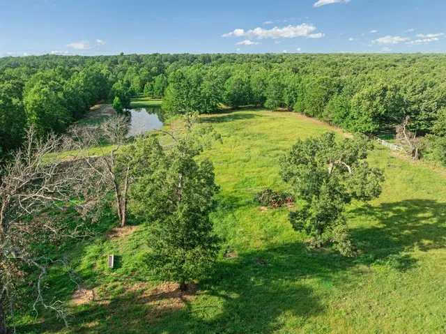 a view of a garden from a yard