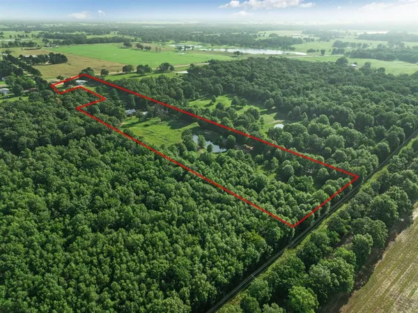 an aerial view of green landscape with trees houses and mountain view