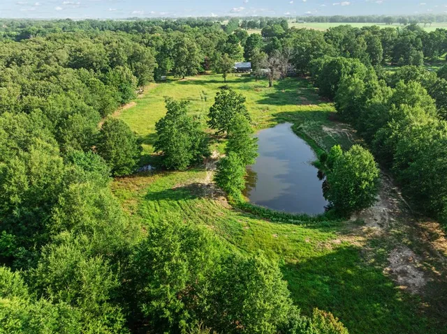 a view of a garden with a large trees