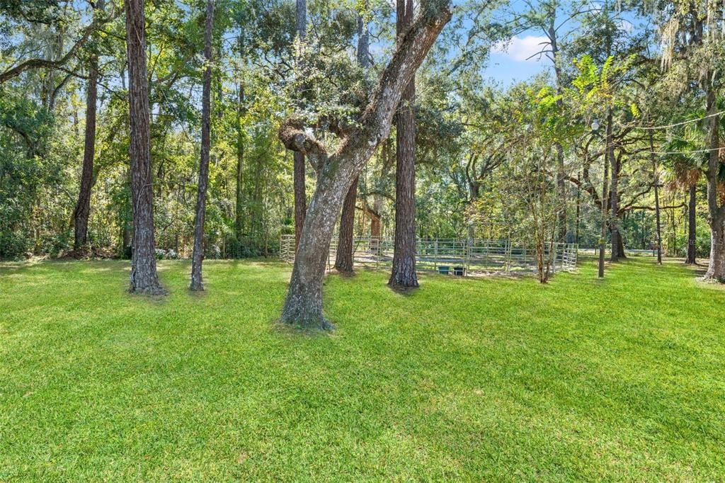 4292 Culbreath Road Brooksville, FL 34601 - Photo 32 of 41 a view of outdoor space with a garden