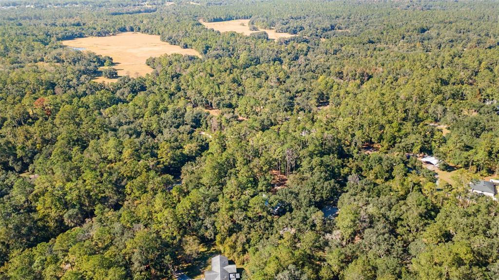 4292 Culbreath Road Brooksville, FL 34601 - Photo 34 of 41 a view of a yard