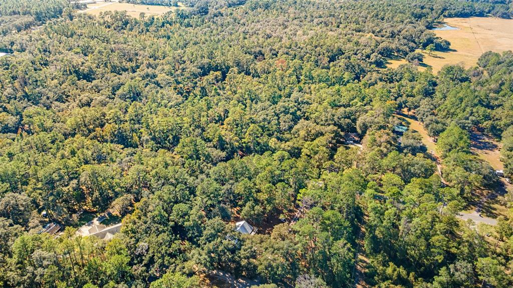 4292 Culbreath Road Brooksville, FL 34601 - Photo 35 of 41