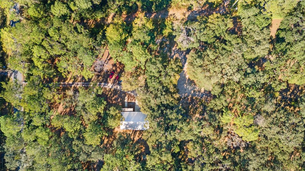 4292 Culbreath Road Brooksville, FL 34601 - Photo 36 of 41 a view of a house with a tree