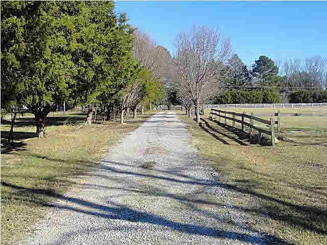 521 North Old Canton Road Madison, MS 39110 - Photo 7 of 25 Photo 7
