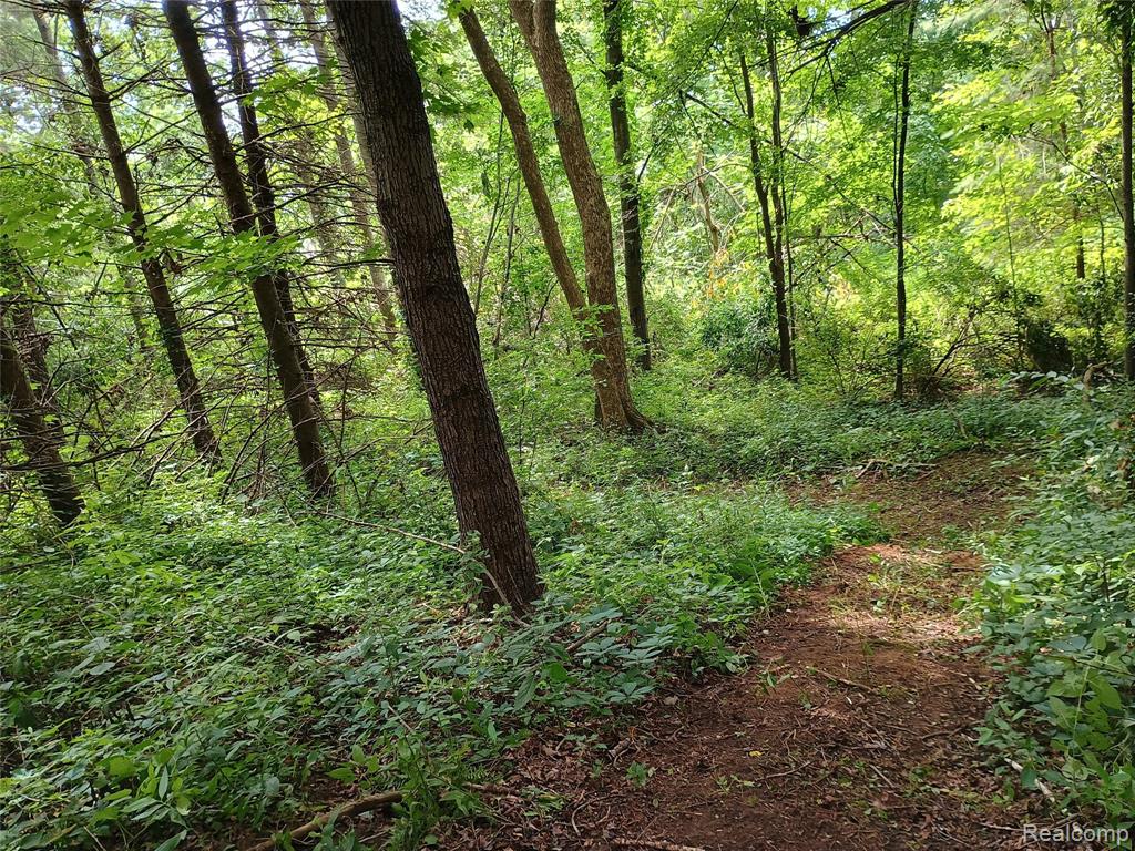 1793 Swaffer Road Silverwood, MI 48760 - Photo 35 of 35