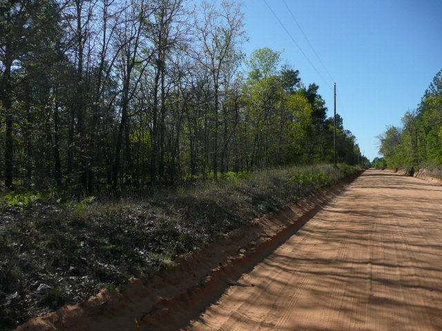 0 Windsor Road North Williston, SC 29853 - Photo 2 of 3