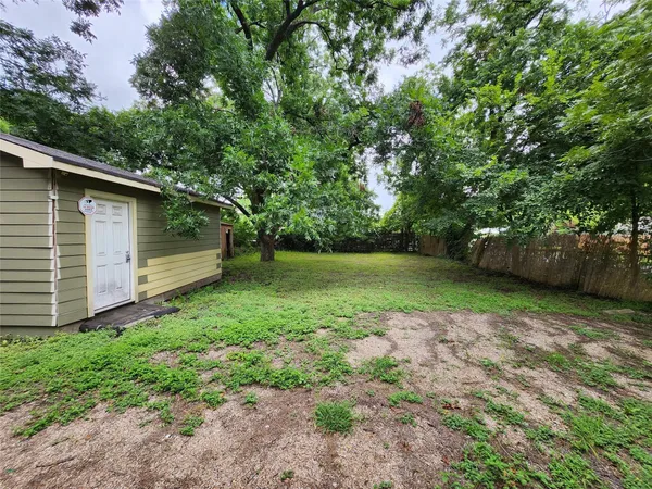 a view of a backyard with a large tree