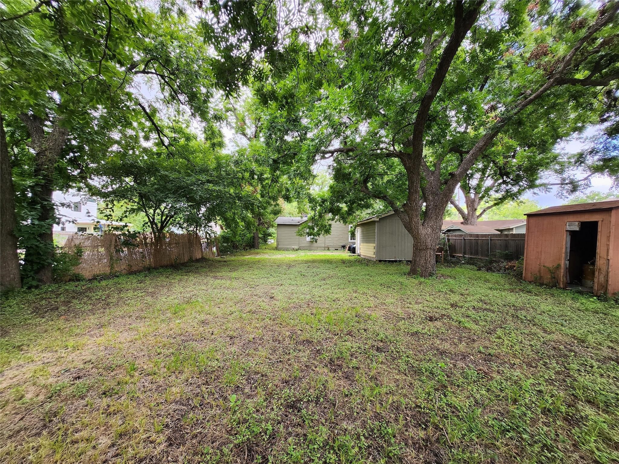 4810 Alf Avenue Austin, TX 78721 - Photo 7 of 16 a view of a yard with a tree