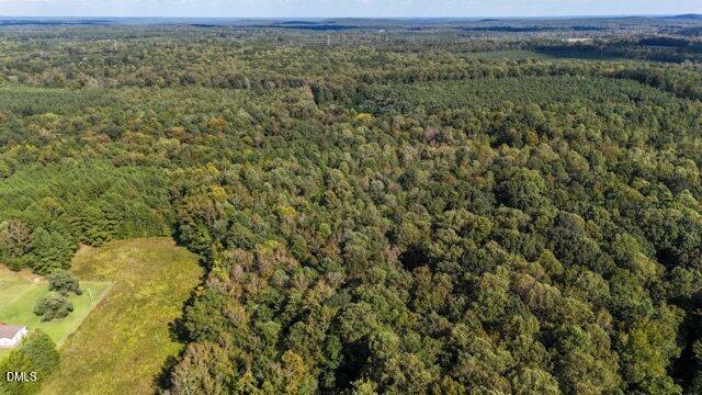 0 Owens Daye Road Rougemont, NC 27572 - Photo 5 of 16