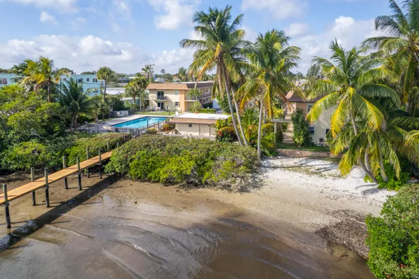 a view of a yard with a palm tree