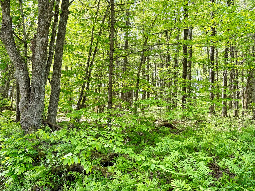 0 Maples Road Milford, NY 13807 - Photo 4 of 9