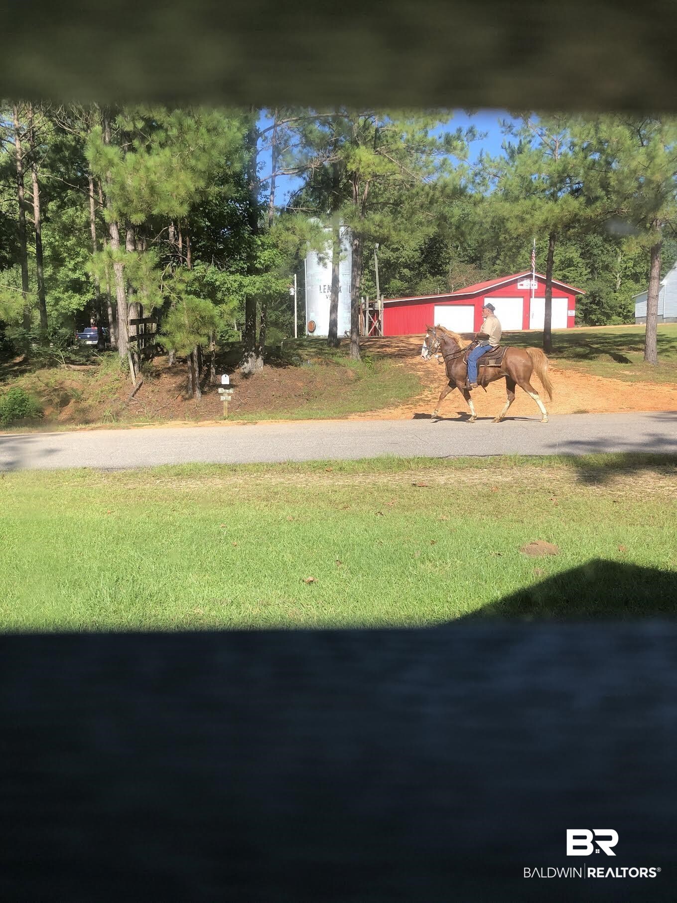 3022 County Road 7 Repton, AL 36475 - Photo 24 of 25
