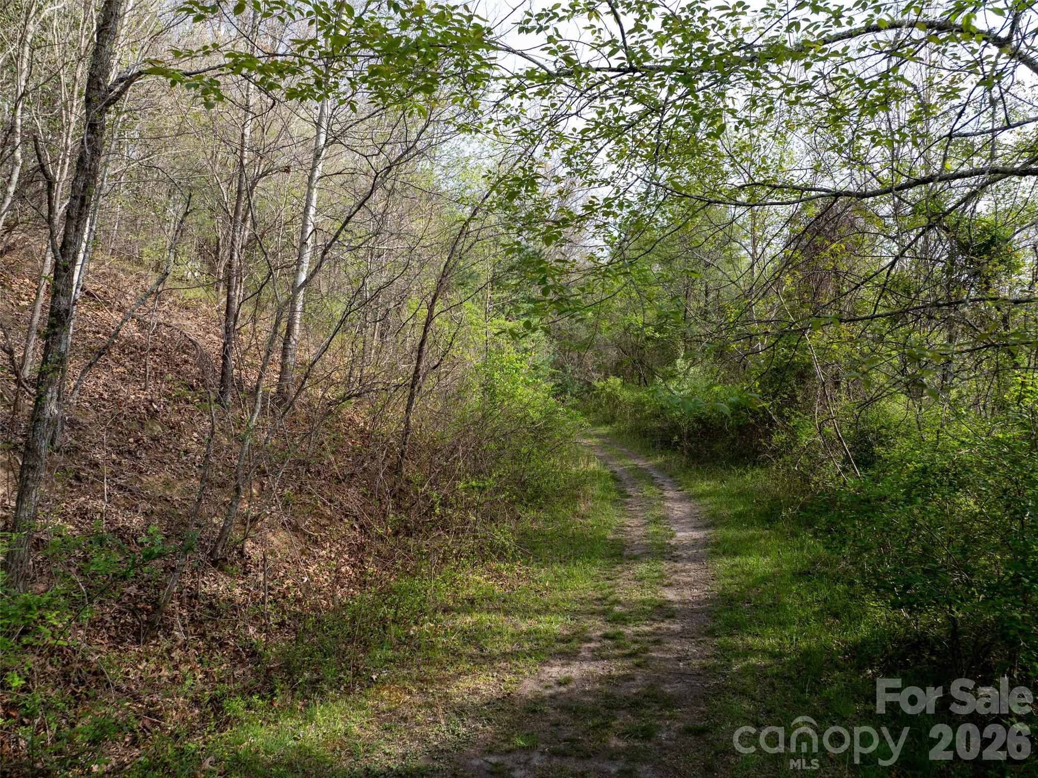 0 Sunnybrook Trail, Unit 40 Clyde, NC 28721 - Photo 11 of 11 a view of a forest