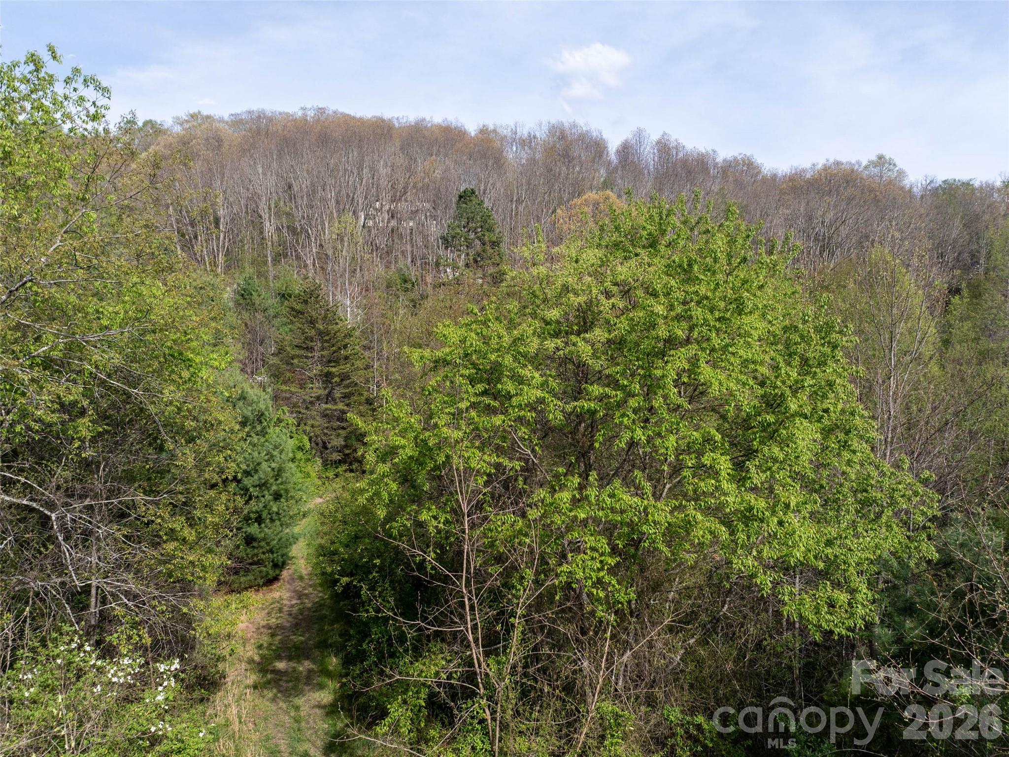 0 Sunnybrook Trail, Unit 40 Clyde, NC 28721 - Photo 3 of 11 a view of a city