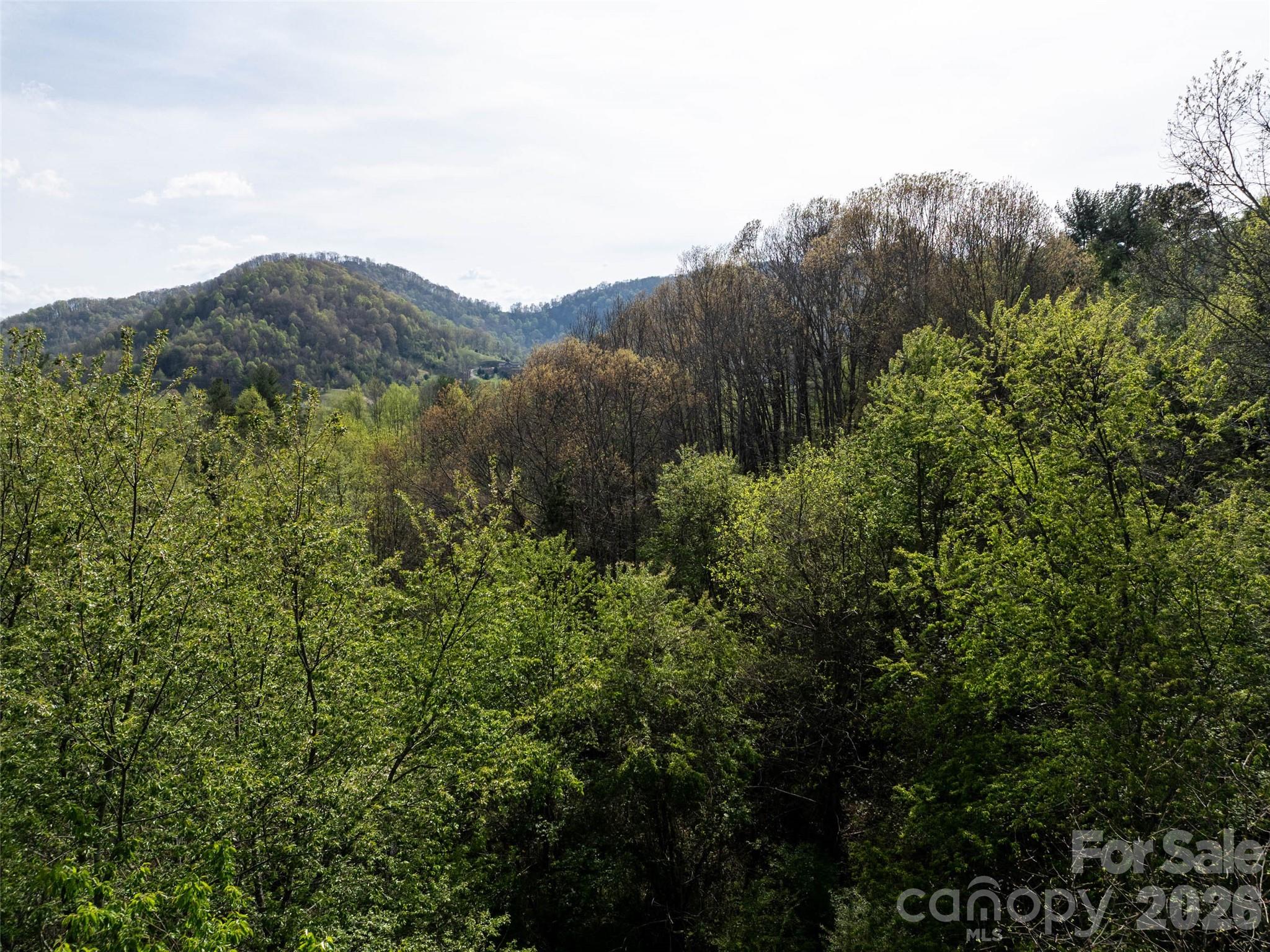 0 Sunnybrook Trail, Unit 40 Clyde, NC 28721 - Photo 4 of 11 a view of a lush green field