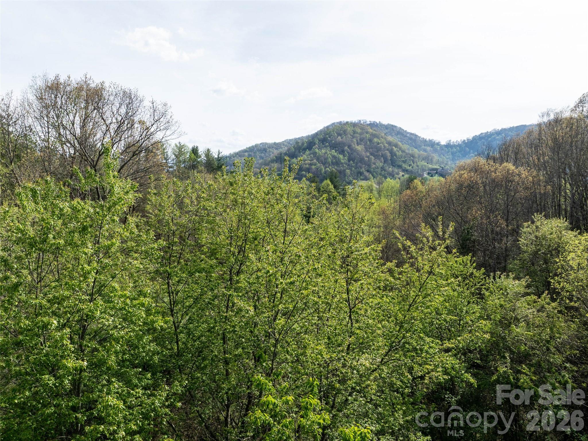 0 Sunnybrook Trail, Unit 40 Clyde, NC 28721 - Photo 5 of 11 a view of a lush green field