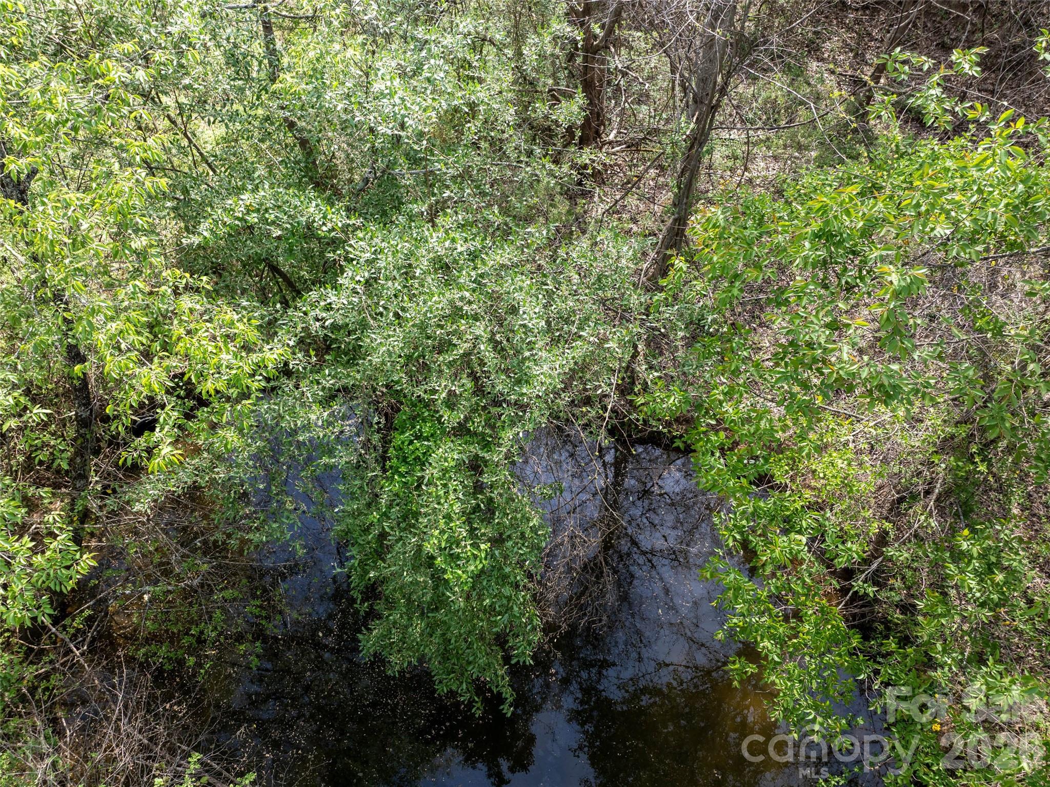 0 Sunnybrook Trail, Unit 40 Clyde, NC 28721 - Photo 7 of 11 a view of a forest with a tree