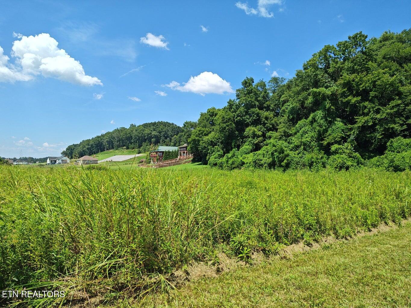 Espalier Drive, Unit 72 Decatur, TN 37322 - Photo 13 of 14 20250725153620404227000000-o