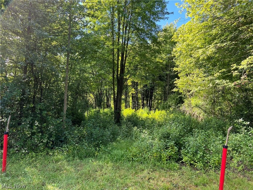 41 Roaming Rock Boulevard Rome, OH 44085 - Photo 1 of 10 View from the street of lot