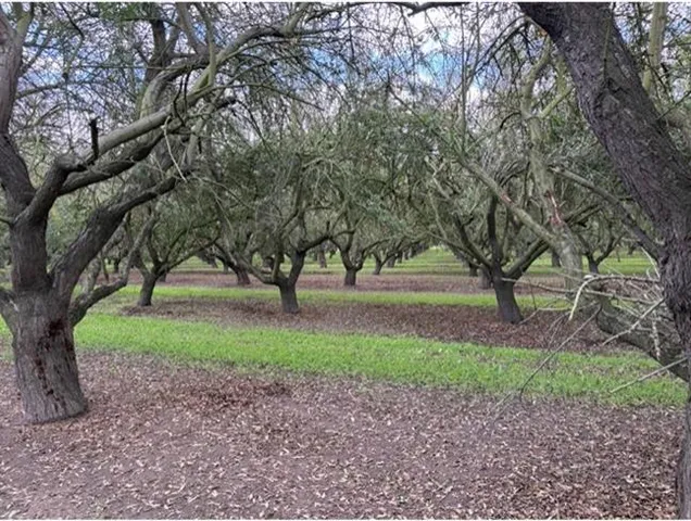 a view of backyard with green space