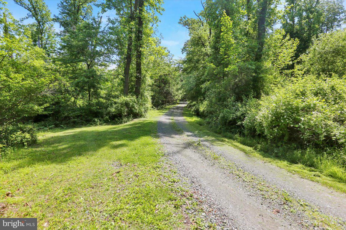 0 Huffs Church Road Barto, PA 19504 - Photo 3 of 8