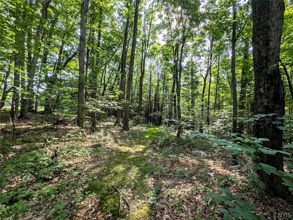 8880 Hemlock Road Wheeler, NY 14809 - Photo 29 of 50