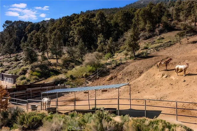 a backyard of a house with lots of green space and fountain