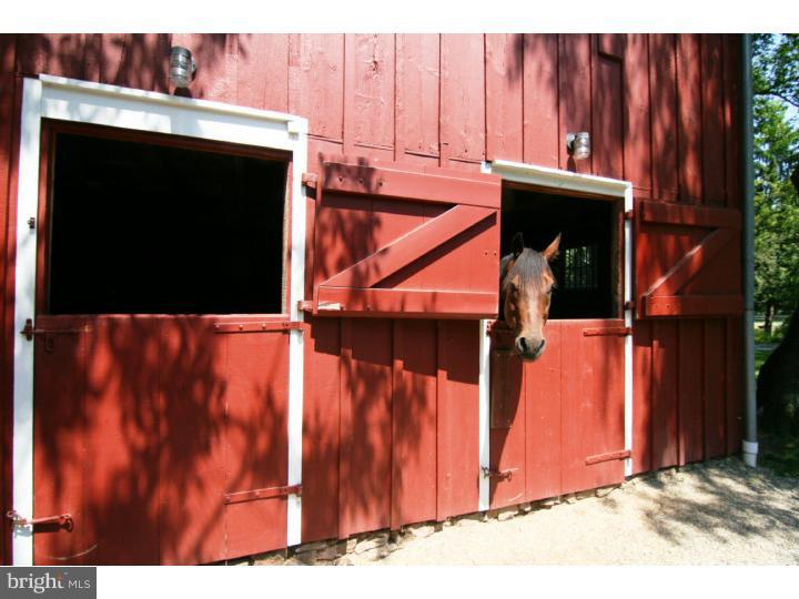 339 Thompson Mill Road New Hope, PA 18938 - Photo 19 of 25 Barn