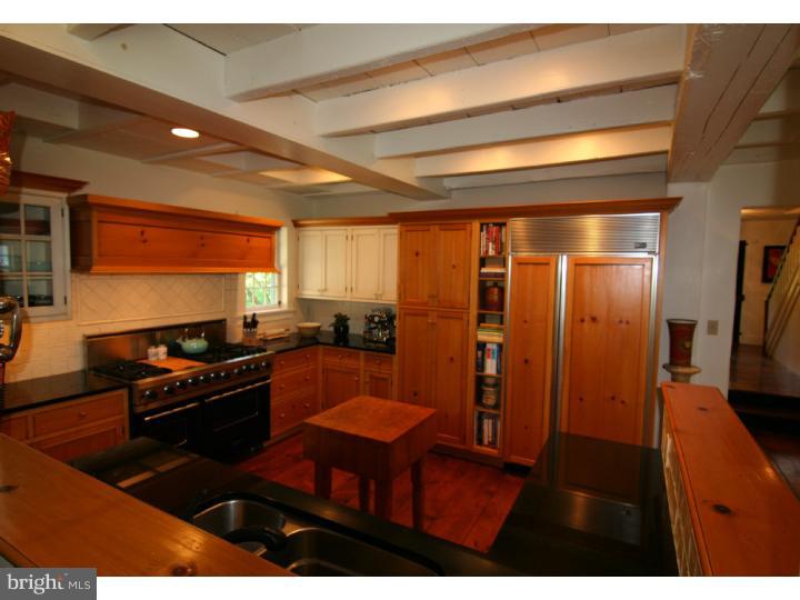 339 Thompson Mill Road New Hope, PA 18938 - Photo 7 of 25 Kitchen