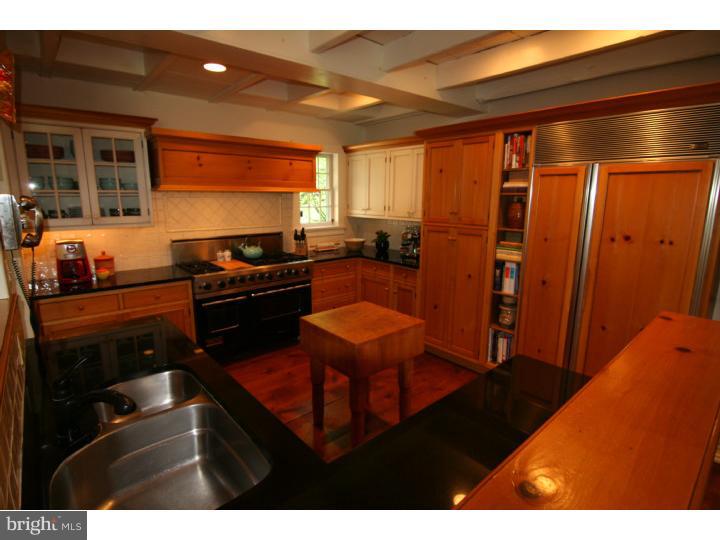 339 Thompson Mill Road New Hope, PA 18938 - Photo 8 of 25 Kitchen