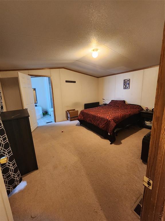 7120 Golden Meadows Road Greenwood, LA 71033 - Photo 10 of 14 Carpeted bedroom featuring lofted ceiling and a textured ceiling