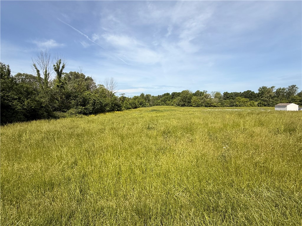 Lot #4 Purdy Road Canandaigua, NY 14424 - Photo 4 of 4