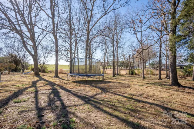 a view of a yard with a trees