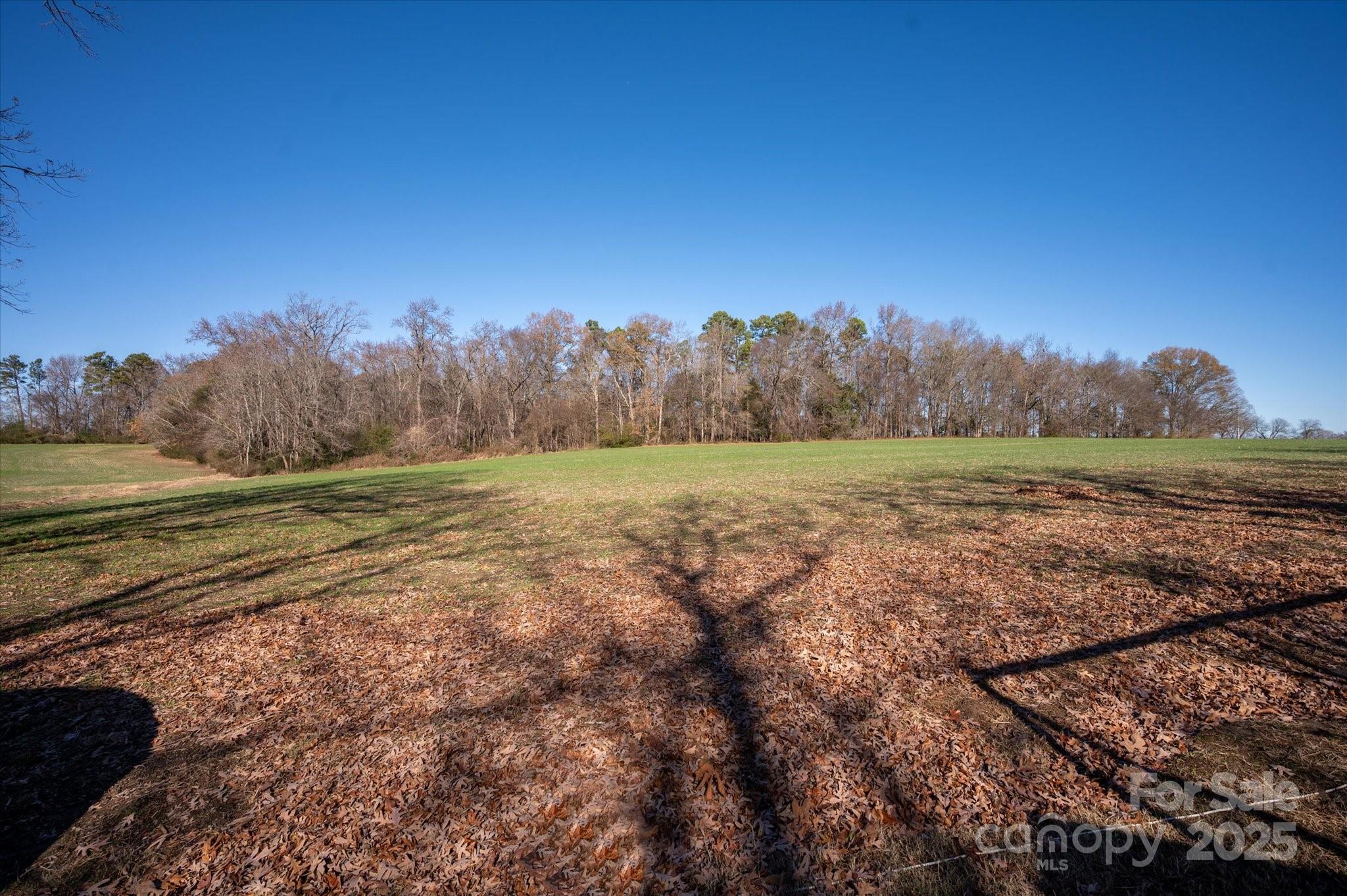 1117 Jug Broome Road Monroe, NC 28112 - Photo 36 of 38 a view of a field with trees in the background