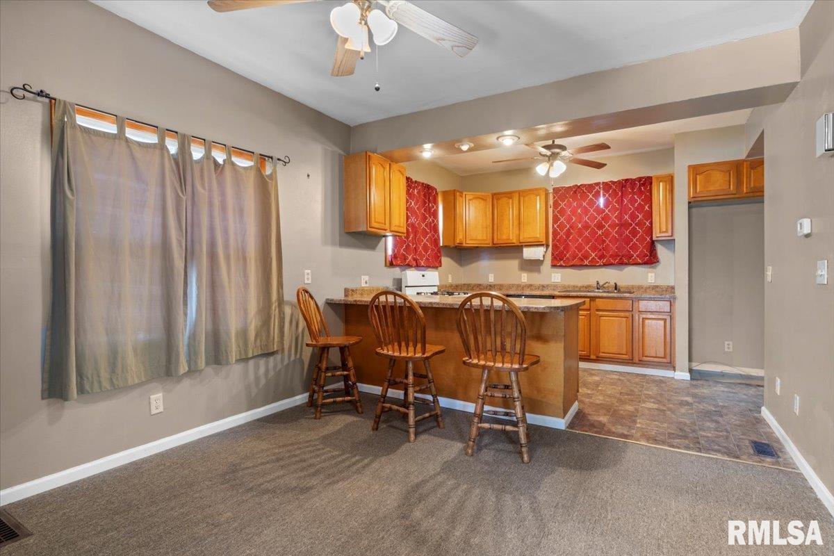1703 East Matheny Avenue Springfield, IL 62702 - Photo 5 of 21