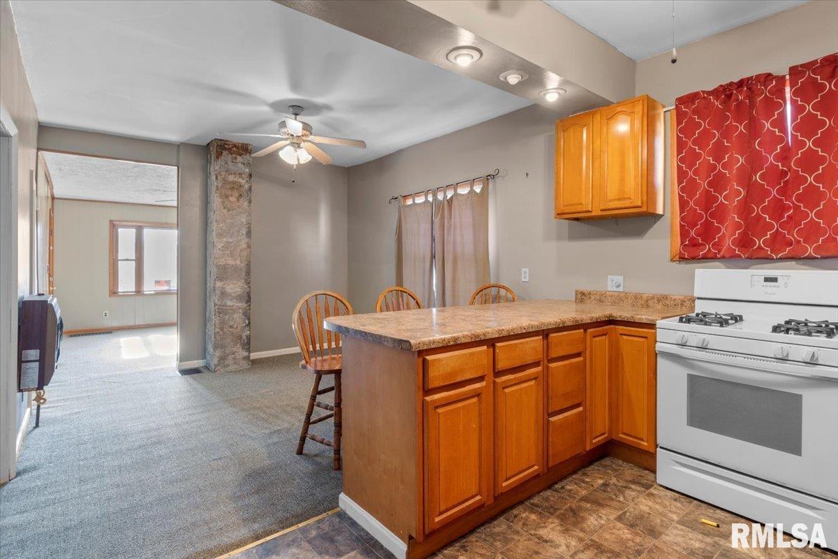 1703 East Matheny Avenue Springfield, IL 62702 - Photo 7 of 21